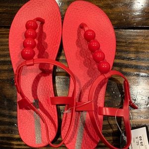Women’s Ipanema sandals